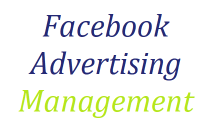 Facebook Advertising Management Service